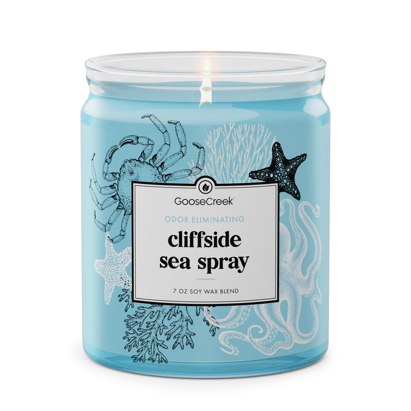 Cliffside Sea Spray Odor Eliminating 7oz Single Wick Candle B1