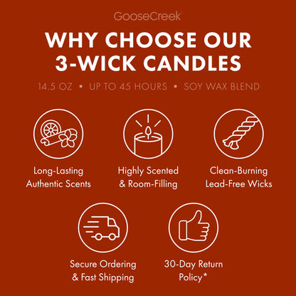 Palo Santo Coconut 3-Wick Candle